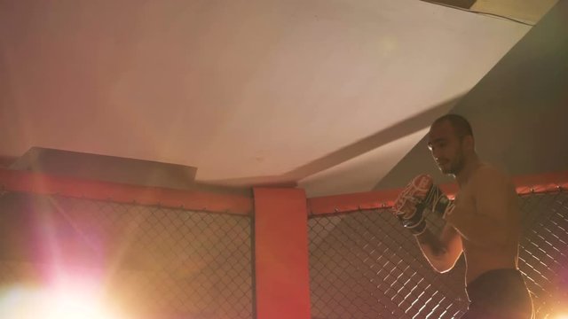 MMA athletes in the octagonal ring for fights.