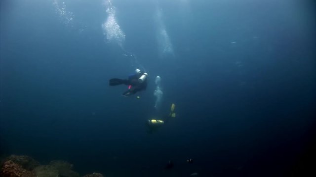 Scuba divers underwater in blue abyss in Galapagos. Unique beautiful video. Abyssal relax diving in world of wildlife. Natural aquarium of sea and ocean. Multicolor animals.
