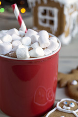 Cocoa in a red Cup and mittens.