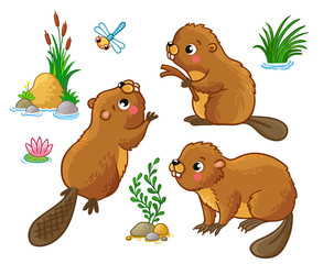 Vector set with isolated beavers in different poses. Cute animals in cartoon style.