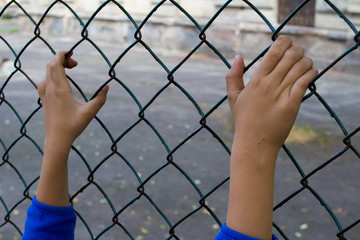 hands fence fence net