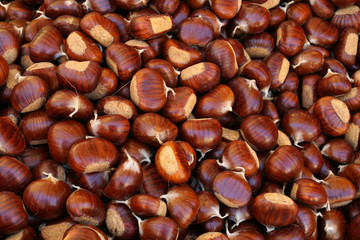 texture di castagne in autunno