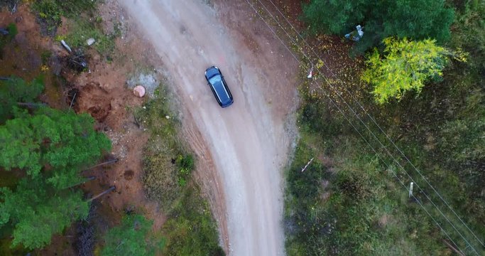 Aerial view of the car driving among the green pine forest. Autumn landscape. Amazing aerial perspective of car amon the woods. Tall pine trees in forest. Autumn trees.