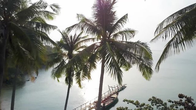 Through the tropical palm trees the aerial camera reveals a wooden fishing boat tied up to a pier.