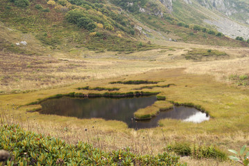 Fototapeta na wymiar a view of the swampy, reed overgrown lake in a mountain valley with several open water areas