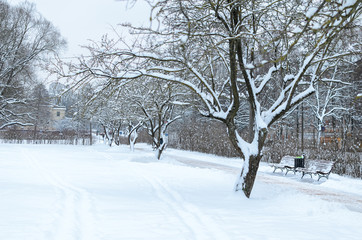 Winter in the city park. Trees and benches covered with snow.