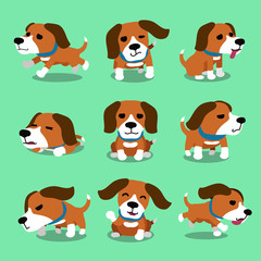 Vector cartoon character beagle dog poses