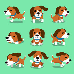 Obraz premium Vector cartoon character beagle dog poses