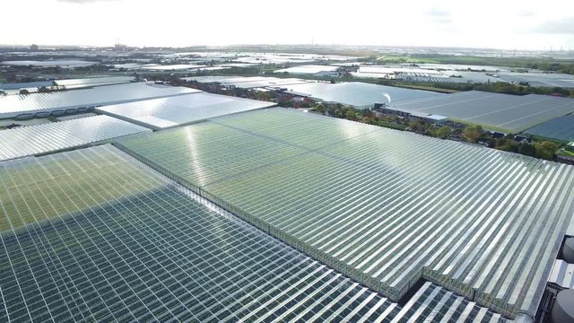 Aerial of greenhouses / glasshouses in the Westland aria in The Netherlands