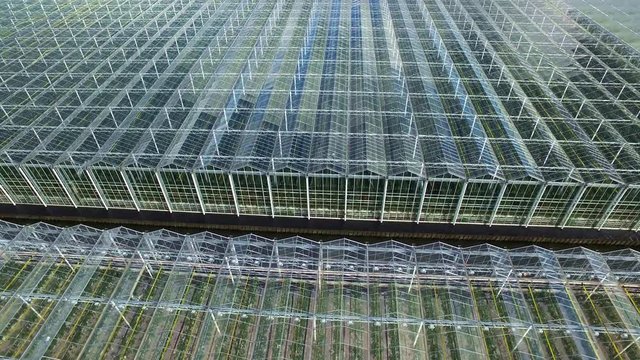 Aerial of greenhouses / glasshouses in the Westland aria in The Netherlands