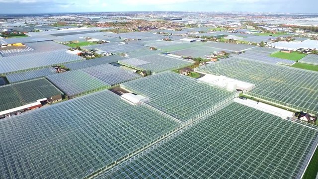 Aerial of greenhouses / glasshouses in the Westland aria in The Netherlands