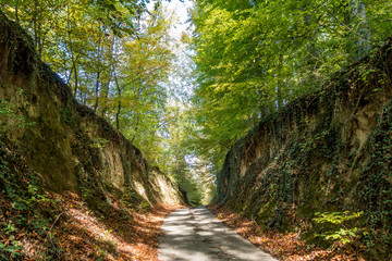 Obraz premium Hohlweg im Herbst