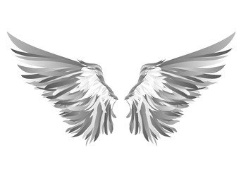 Wings. Vector illustration on white background. Black and white
