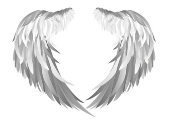 Fototapeta premium Wings. Vector illustration on white background. Black and white
