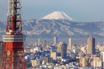 Elevated night view of the city skyline and iconic Tokyo Tower, Tokyo, Japan