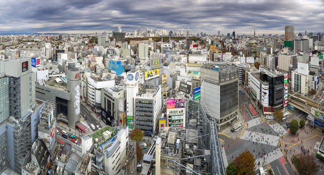 Elevated view over Shibuya Ward towards the Shinjuku skyline, Tokyo, Japan