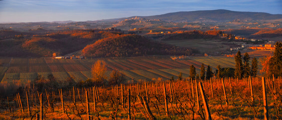 Tuscany at Dawn