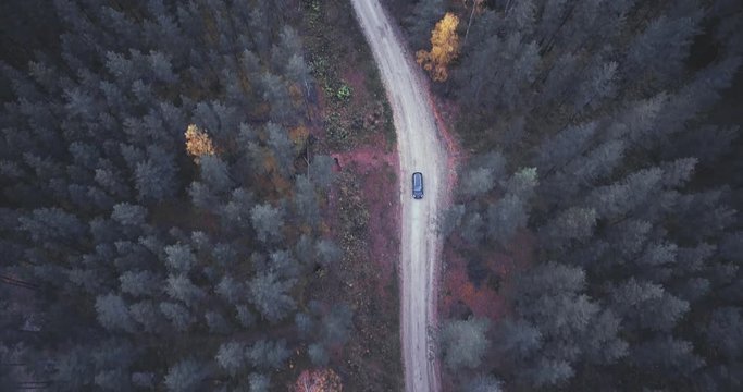 Aerial view of the car driving among the green pine forest. Autumn landscape. Amazing aerial perspective of car amon the woods. Tall pine trees in forest. Autumn trees.