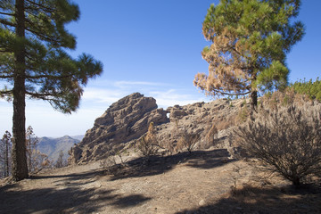 Gran Canaria  October 2017
