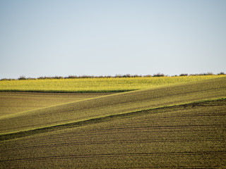 Hügeliges Ackerland