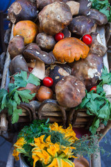 Basket with autumn mushrooms, vegetables and greens at the market