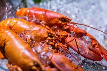 Fresh frozen lobster on ice