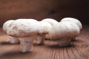 ayakta duran mantarlar