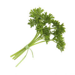 Isolated on white Herbs in a cute little Bunch - Parsley