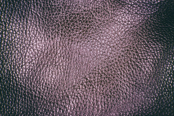 Texture of genuine leather