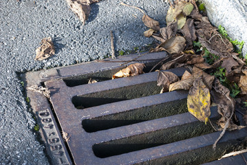 Kanaldeckel / Gulli mit Laub im Hebrst