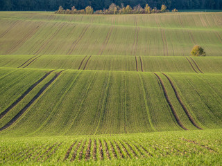 Hügeliges Ackerland