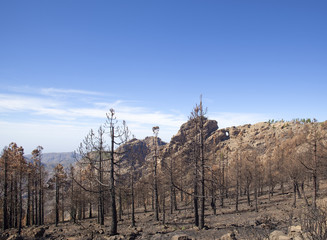 Gran Canaria  October 2017