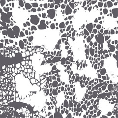 leopard pattern