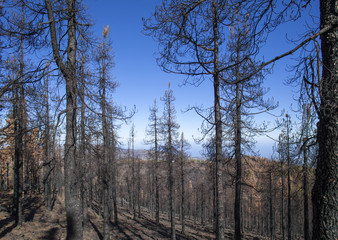Gran Canaria  October 2017