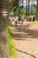 Fototapeta premium Red touristic mark on the tree with blurry figures on the background