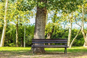 Bench in public park