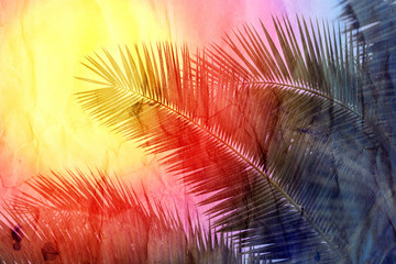Retro beautiful multicolored palm trees - obrazy, fototapety, plakaty