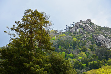 Hilltop medieval Castle of the Moors in Sintra
