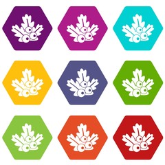 Xmas branch icon set color hexahedron