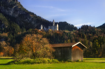 Obraz premium Neuschwanstein Castle on a rugged hill above the village of Hohenschwangau, Germany