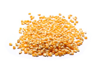 Yellow grain corn isolated on white background, for popcorn