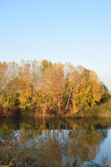 Fall of autumn on river Po