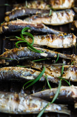 Sardines in a frying pan grilled with spices and rosemary.