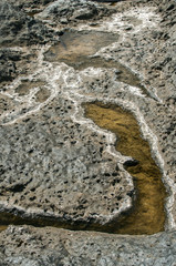 Surface of coastal eroded sea rocks with sedimentary seawater closeup as natural background