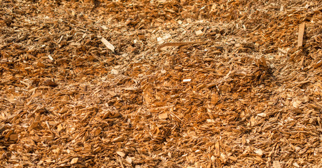 Industrial wooden chips.