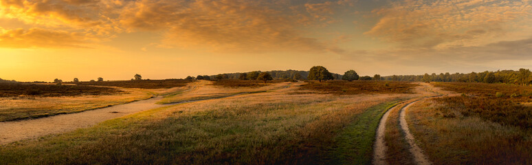 Panorama of heathland landscape