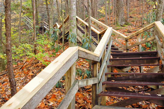 Outdoor Wooden Stairs Leading Upwards in Blue Ridge Mountains
