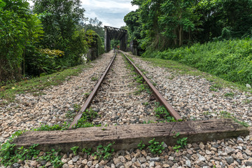 Fototapeta premium View along the railway. Old railroad across the bridge. The road for the train on the sides of the green vegetation and forest