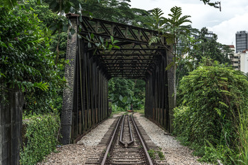 View along the railway. Old railroad across the bridge. The road for the train on the sides of the green vegetation and forest - 179161170