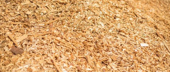 Industrial wood chips. Selective focus.